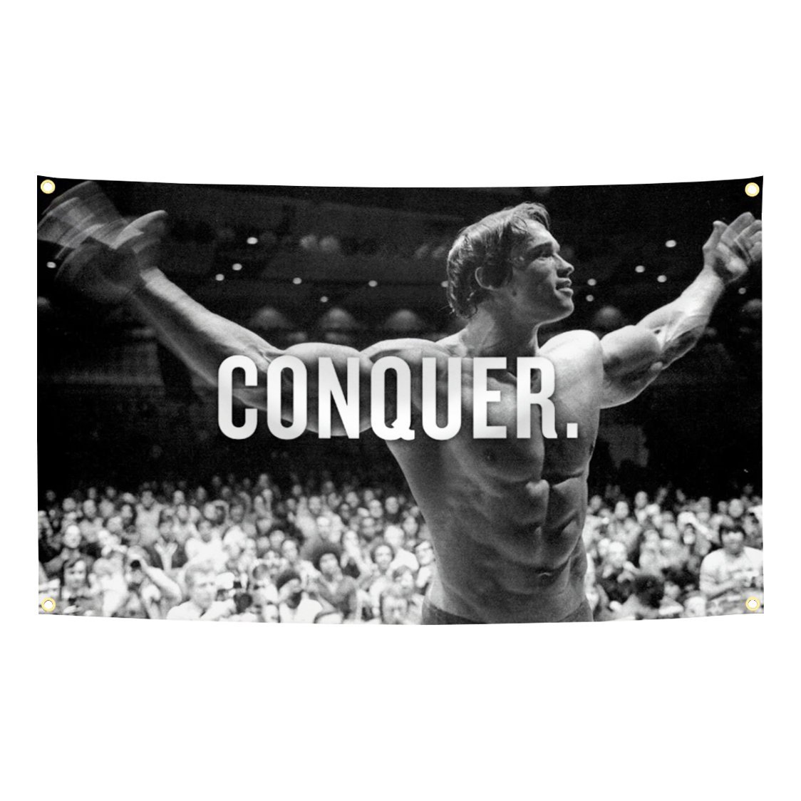 Bandera motivacional para gimn - Home Gym Yes Or No reseña y precio